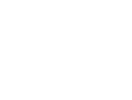 Patta
